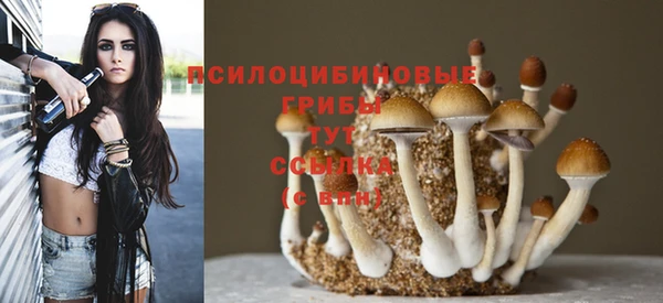 кристаллы Алексеевка