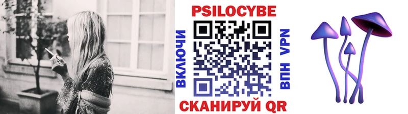 купить цена Козловка Псилоцибиновые грибы мицелий